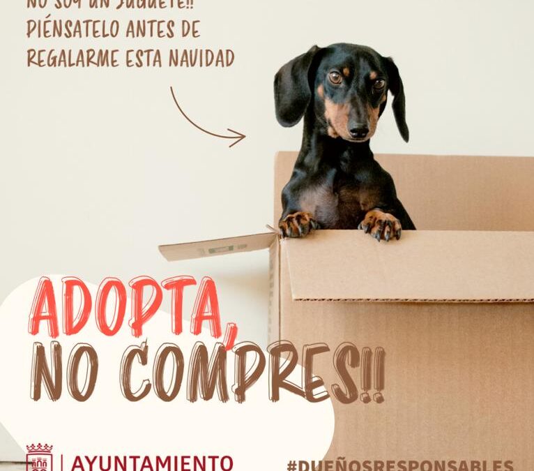 Campaña de fomento de la adopción de mascotas | Radio Arcos Emisora  Municipal