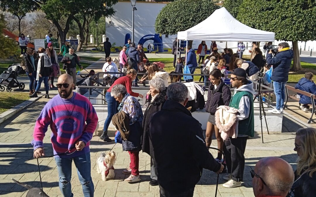 Reportaje en el Día de San Antón, patrón de los animales