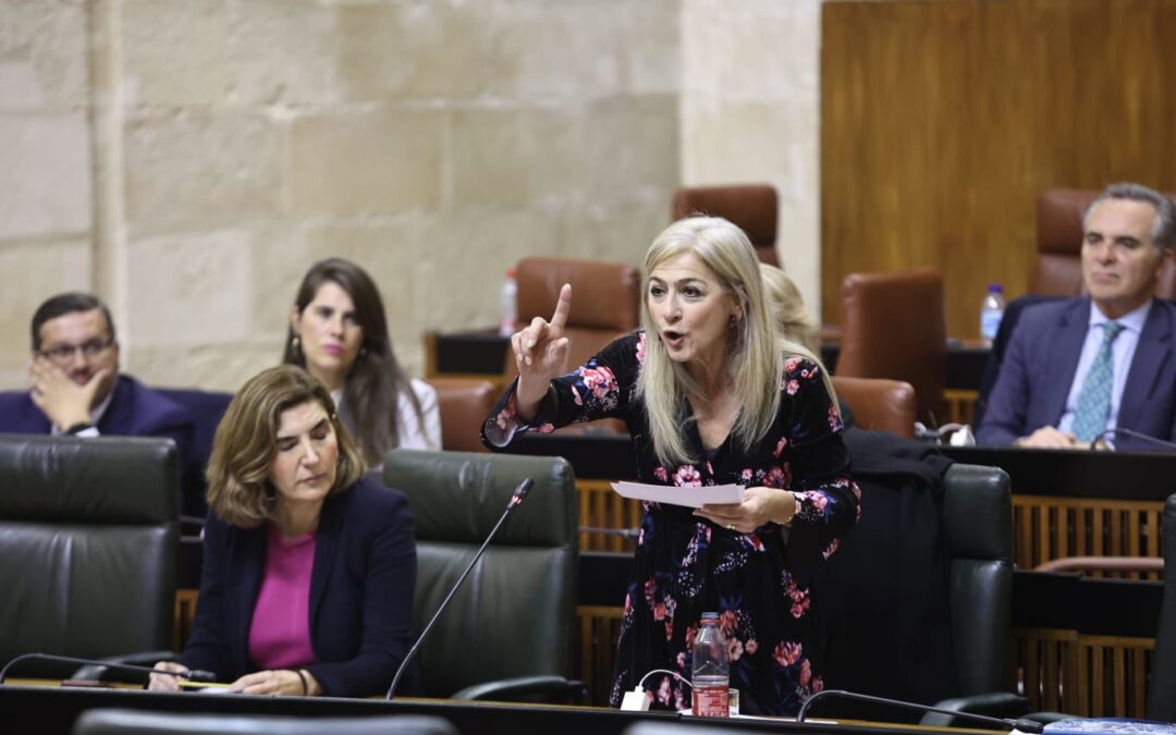 La Consejería ha destinado casi 350.000 euros en mejorar los centros docentes de Arcos de la Frontera