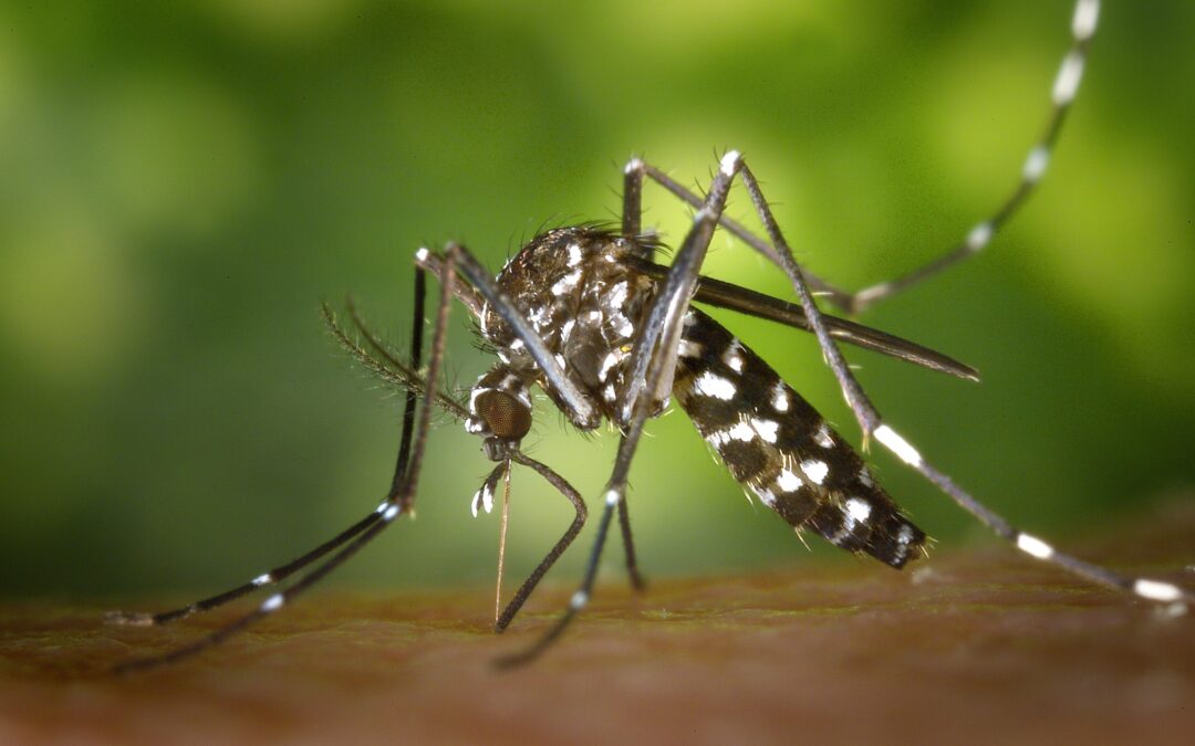 Salud vigilará la presencia de mosquitos en 110 municipios para prevenir el Virus del Nilo