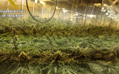 La Guardia Civil desmantela 3 plantaciones de marihuana del interior de un domicilio en Bornos