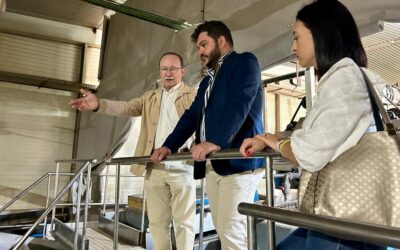 El Alcalde visita ‘Arcoval’ una empresa arcense referente en la producción de zanahorias