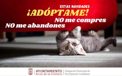Participación Ciudadana pone en marcha una campaña para la adopción de mascotas