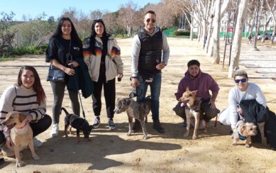 Arcos celebra la festividad de San Antón, patrón de los animales