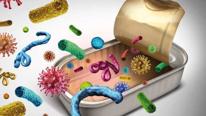 “Principales enfermedades transmitidas por alimentos contaminados”, segundo temario del curso de ‘Manipulador de alimentos’
