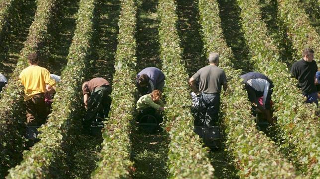 El paro sube en 13 personas desempleadas en Arcos en el mes de septiembre