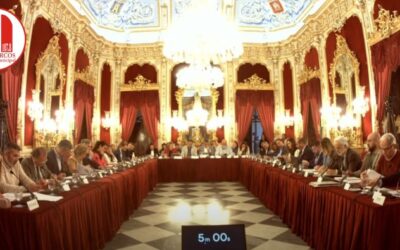 El Pleno de Diputación aprueba propuestas de PSOE e IU para el desdoble de la A-384 Arcos-Antequera