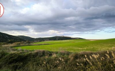 AMA Natura rechaza la instalación de la planta de biogás en Arcos