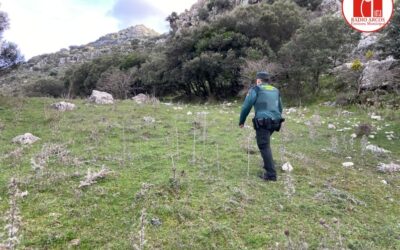 La Guardia Civil rescata a tres senderistas perdidos en la Sierra de Grazalema