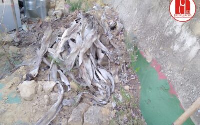 IU Arcos denuncia nuevas quejas vecinales por los desprendimientos en la calle Debajo del Corral