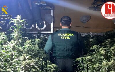 La Guardia Civil desmantela una guardería de drogas encubierta en una nave con actividad industrial abierta al público
