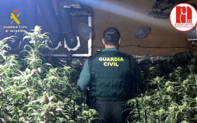 La Guardia Civil golpea de nuevo al cultivo ilegal de marihuana en le Sierra de Cádiz