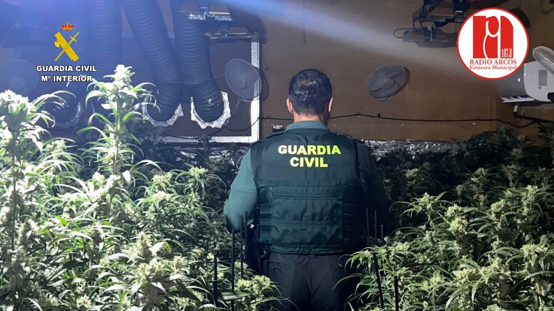 La Guardia Civil golpea de nuevo al cultivo ilegal de marihuana en le Sierra de Cádiz