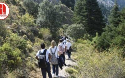 20 menores disfrutarán de vacaciones gracias a un programa de Servicios Sociales del Ayuntamiento de Arcos