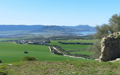 Vecinos y ecologistas se reúnen para valorar el proyecto de megaplanta fotovoltaica de Iberdrola en Arcos
