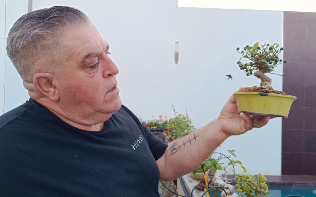 Juan Galvín, un enamorado de los bonsáis desde hace 18 años